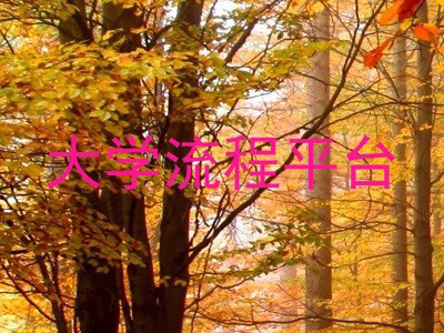大学流程平台