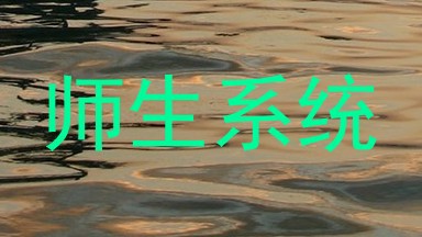 师生系统