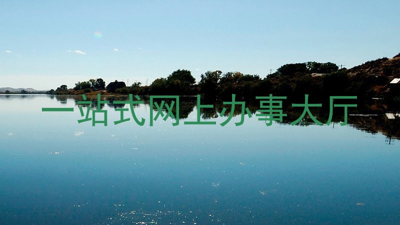 一站式网上办事大厅