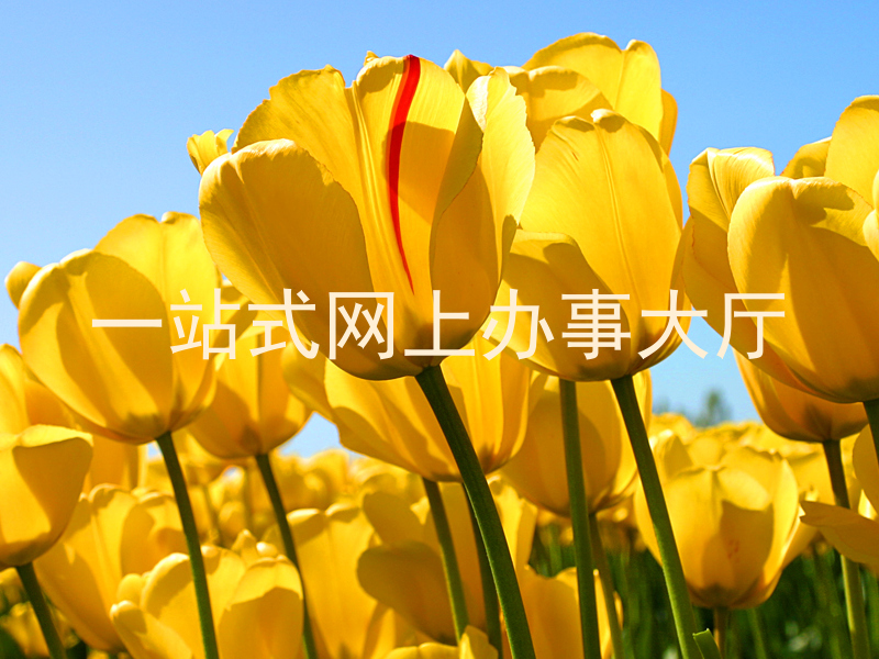 一站式网上办事大厅