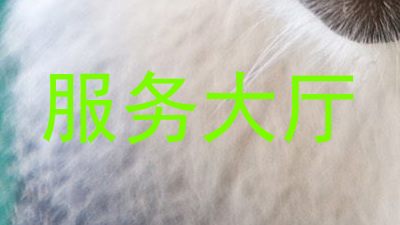 服务大厅