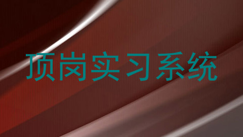 顶岗实习系统