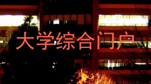 大学综合门户