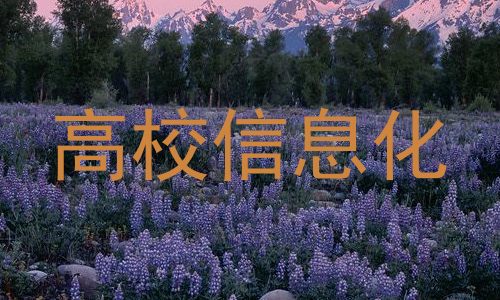 高校信息化