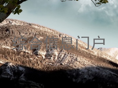 综合信息门户