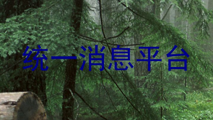 统一消息平台
