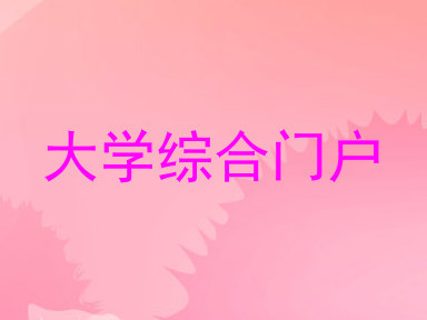 大学综合门户