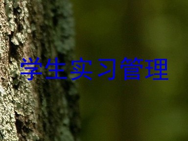 学生实习管理
