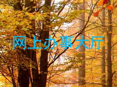 网上办事大厅