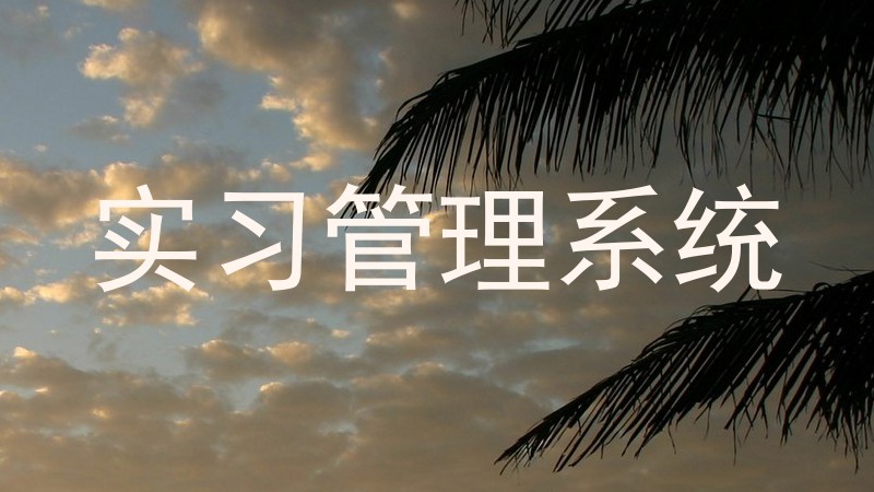 实习管理系统