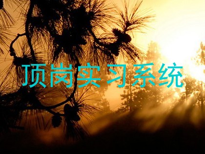顶岗实习系统