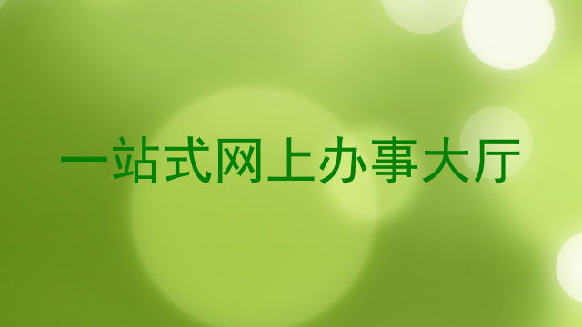 一站式网上办事大厅