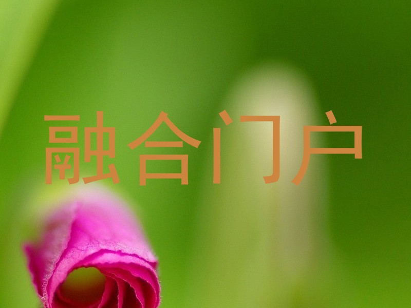 融合门户