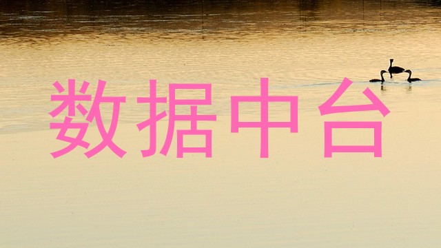 数据中台