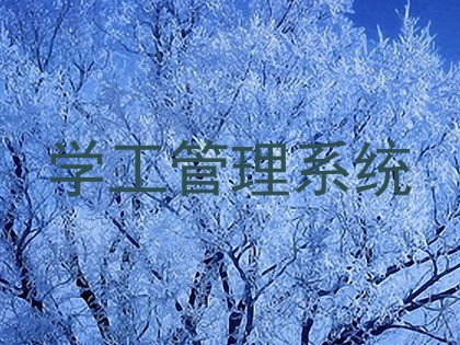 学工管理系统