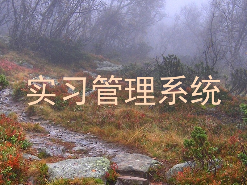 实习管理系统