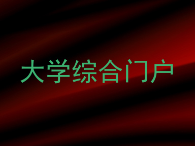 大学综合门户