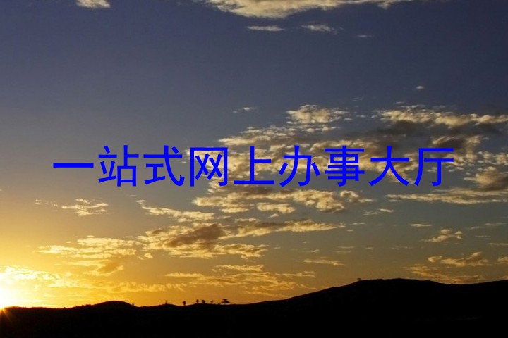 一站式网上办事大厅
