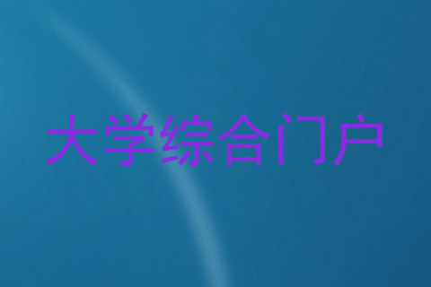 大学综合门户