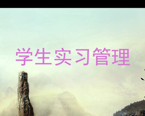 学生实习管理