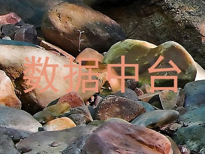 数据中台