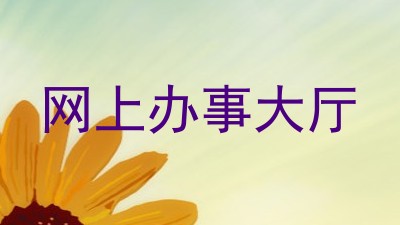 网上办事大厅