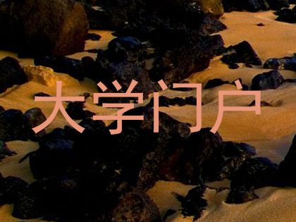 大学门户