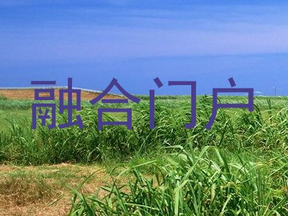 融合门户