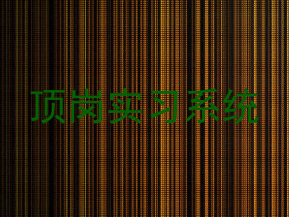 顶岗实习系统