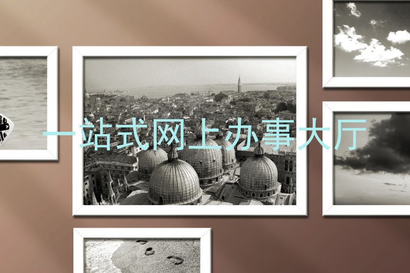 一站式网上办事大厅