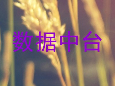 数据中台