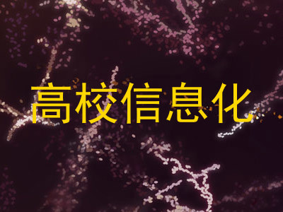 高校信息化