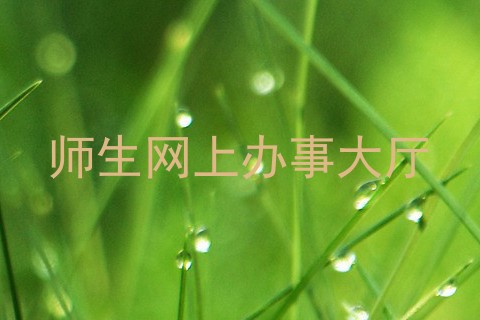 师生网上办事大厅