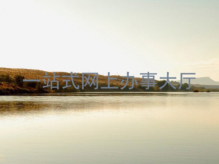 一站式网上办事大厅