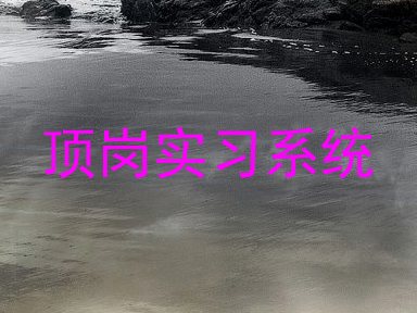 顶岗实习系统