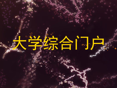 大学综合门户