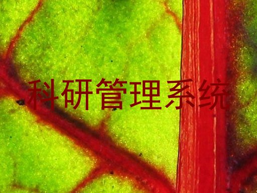 科研管理系统