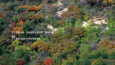 学工管理系统：高校信息化建设的“神经中枢”  

摘要  
学工管理系统作为高校信息化的