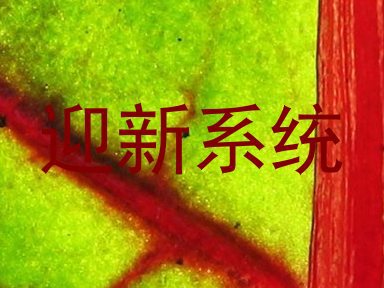 迎新系统