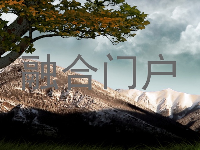 融合门户