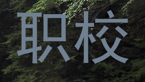 职校