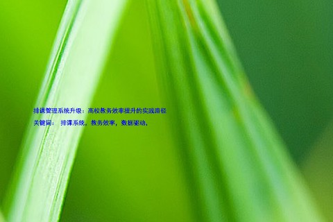 排课管理系统升级:高校教务效率提升的实践路径
关键词: 排课系统,教务效率,数据驱动,