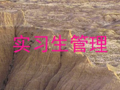 实习生管理