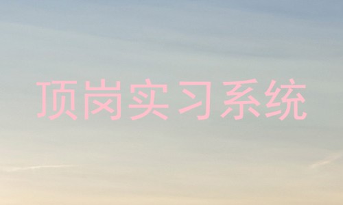 顶岗实习系统