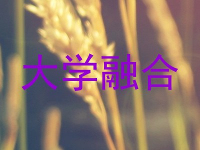 大学融合