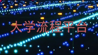 大学流程平台