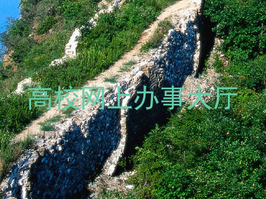 高校网上办事大厅