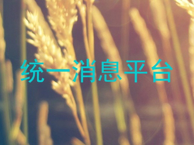 统一消息平台