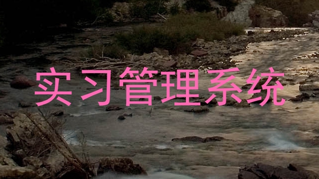 实习管理系统