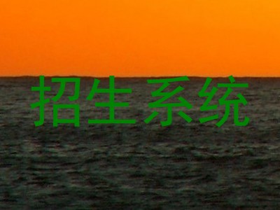 招生系统